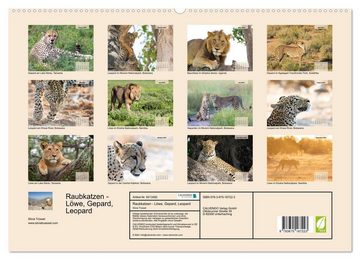 CALVENDO Wandkalender Raubkatzen - Löwe, Gepard, Leopard (Premium, hochwertiger DIN A2 Wandkalender 2023, Kunstdruck in Hochglanz)