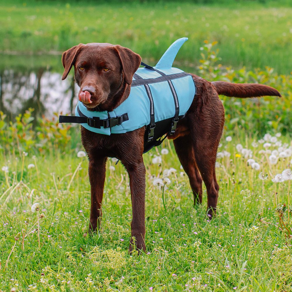 Nobby Hundeweste Schwimmhilfe "Sharki"