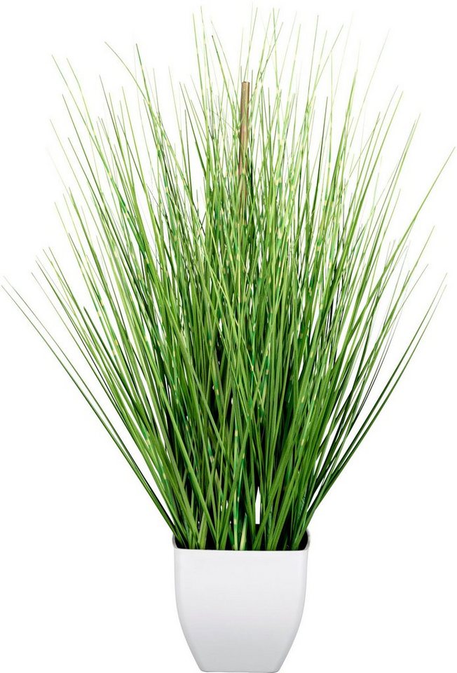 Kunstgras Grasbusch Gras, Creativ green, Höhe 59 cm, im weißen Topf