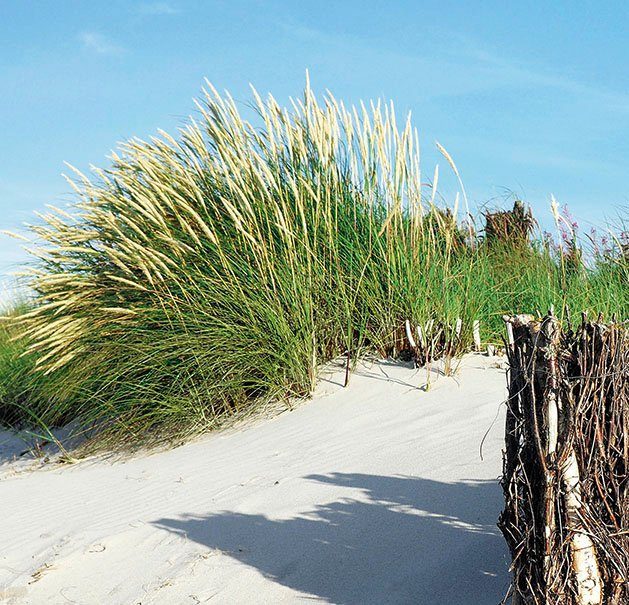 Express Küchen Küchenrückwand Strand, (1-tlg)