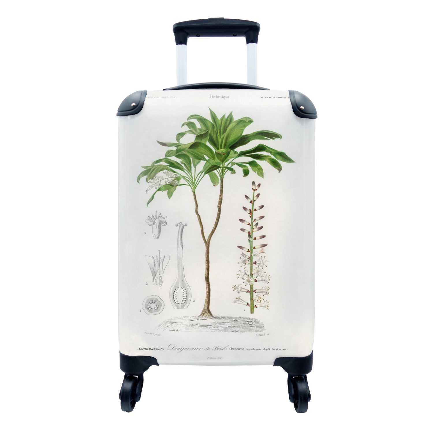 MuchoWow Handgepäckkoffer Pflanze - Trolley, Botanica, Reisetasche rollen, Jahrgang 4 für Handgepäck - Reisekoffer Ferien, mit Rollen
