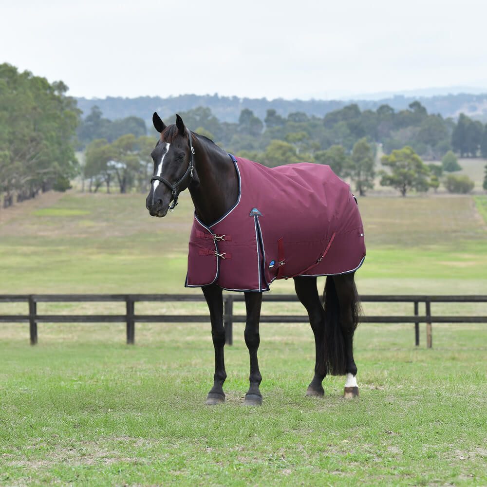 Pferde-Thermodecke Weatherbeeta Comfitec Essential Turnout 220g