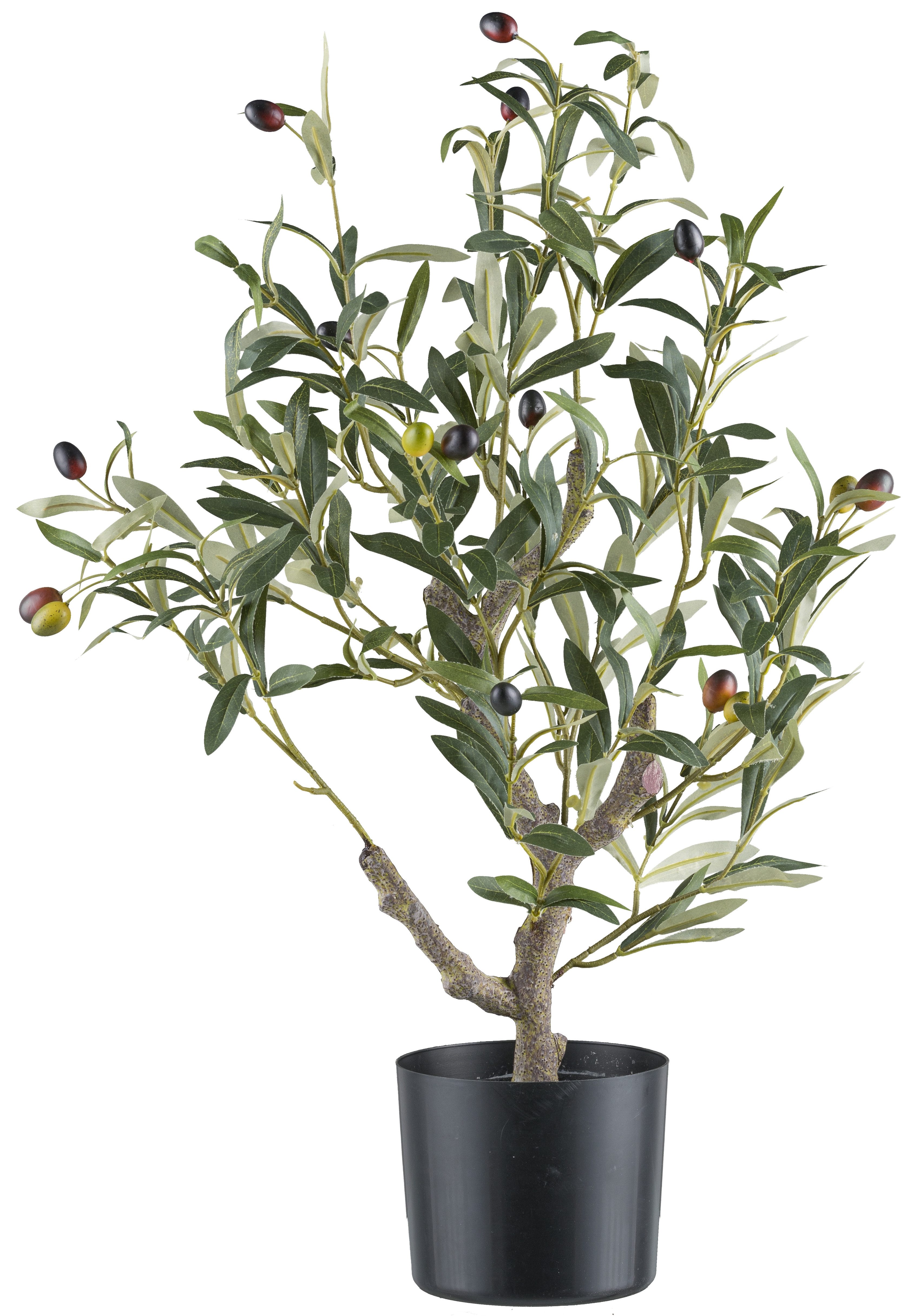 Kunstpflanze Olive, Creativ green, Höhe 70 günstig online kaufen