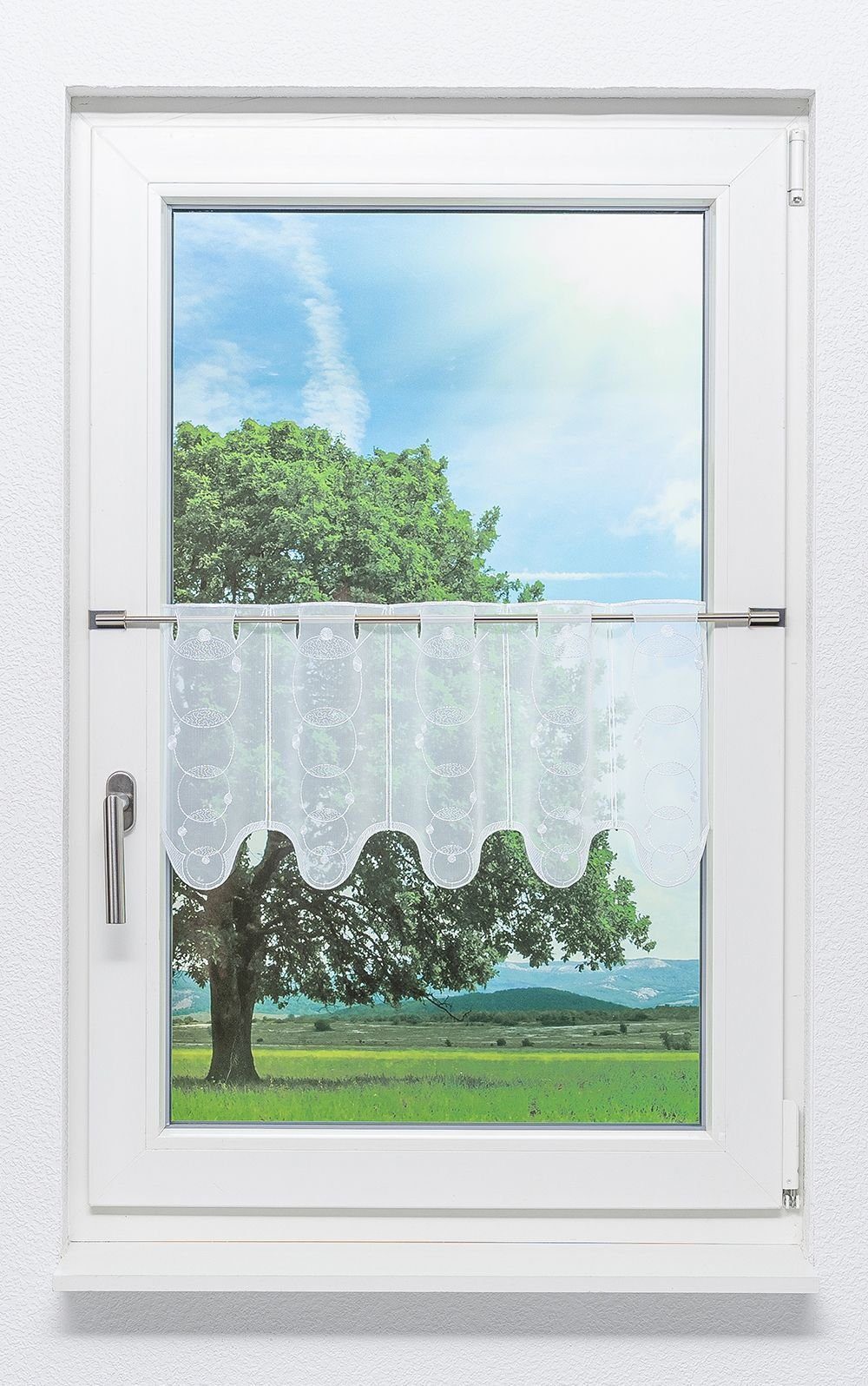 Spitze®, St), Scheibengardine (1 transparent, HxB Seifenblasen, Plauener 30x48cm