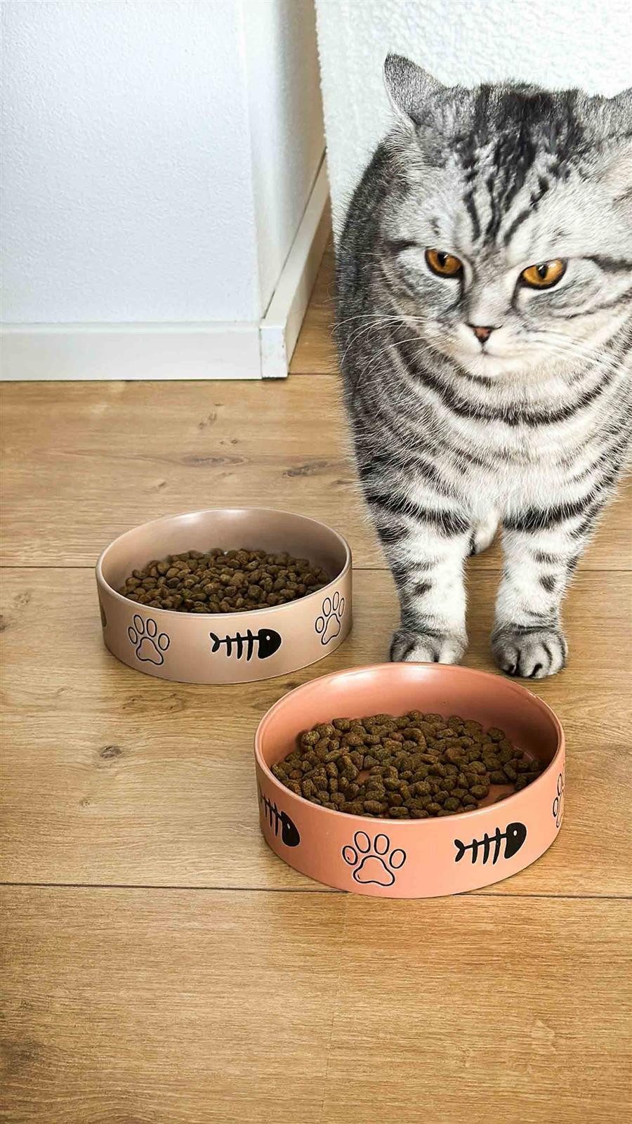 Ritzenhoff & Breker Futternapf Mika Cat Futternapf ø 14 cm, Steingut