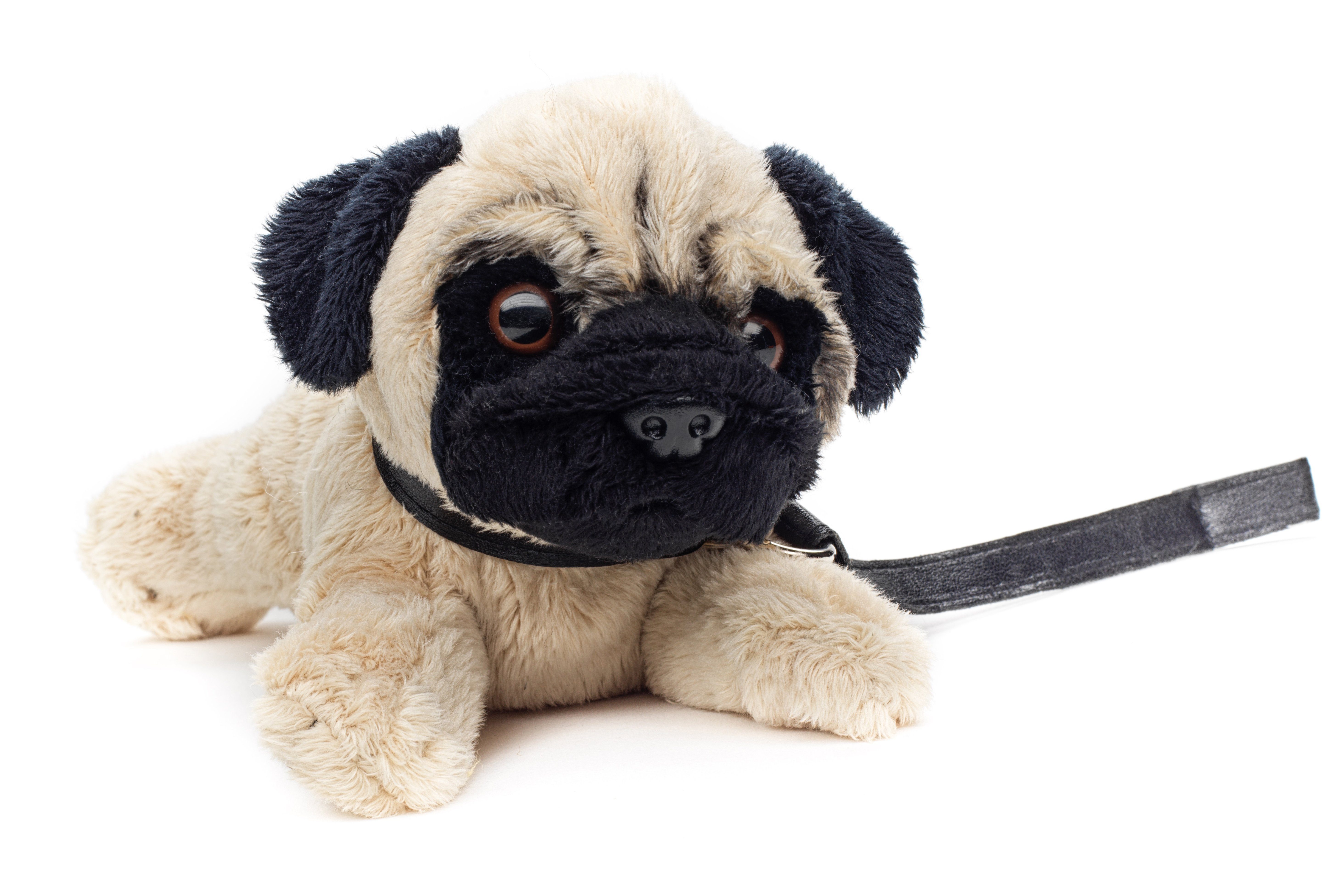 zu Plüsch-Hund recyceltes % Füllmaterial Uni-Toys Plüschtier, Kuscheltier Leine) - (mit 21 Mops cm (Länge) Plushie - 100 -