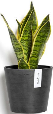 ECOPOTS Blumentopf Amsterdam Wall Dunkelgrau, für innen und außen: frostsicher, bruchsicher und lichtbeständig