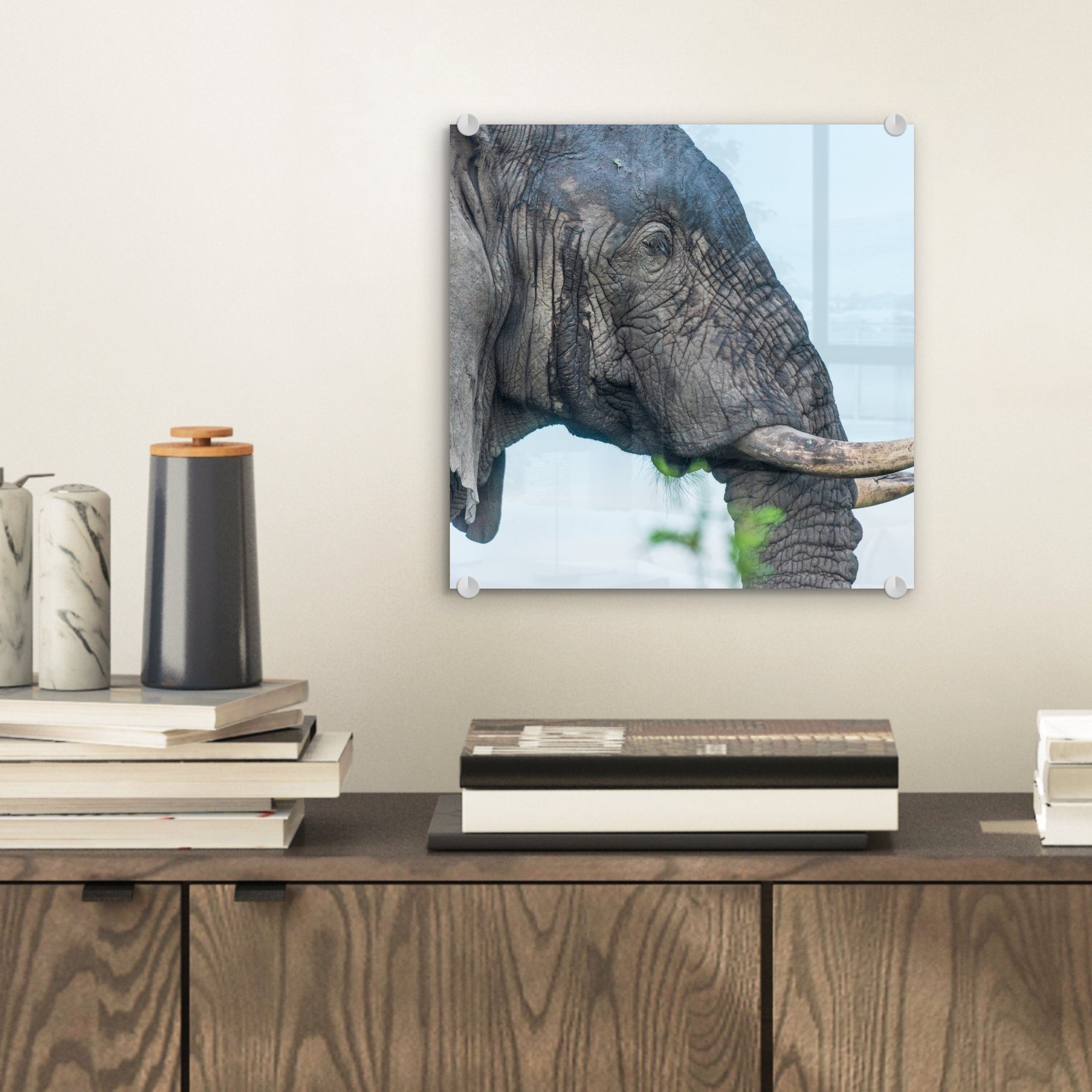 - Glas Grau auf auf Wandbild (1 - Elefant - Acrylglasbild Natur, St), Bilder Tiere - Glasbilder - - Foto MuchoWow Wanddekoration Glas