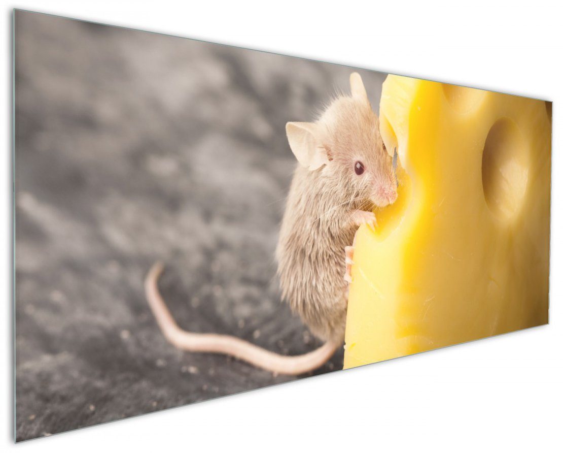 Wallario Küchenrückwand Süße Maus knabbert an einem Käse in der Küche, (1-tlg)