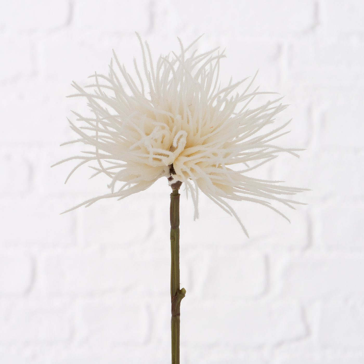 Kunstzweig Dekozweig, Blumen und Blüten, 1 Stück, 25 cm lang, 2028838, BOLT günstig online kaufen