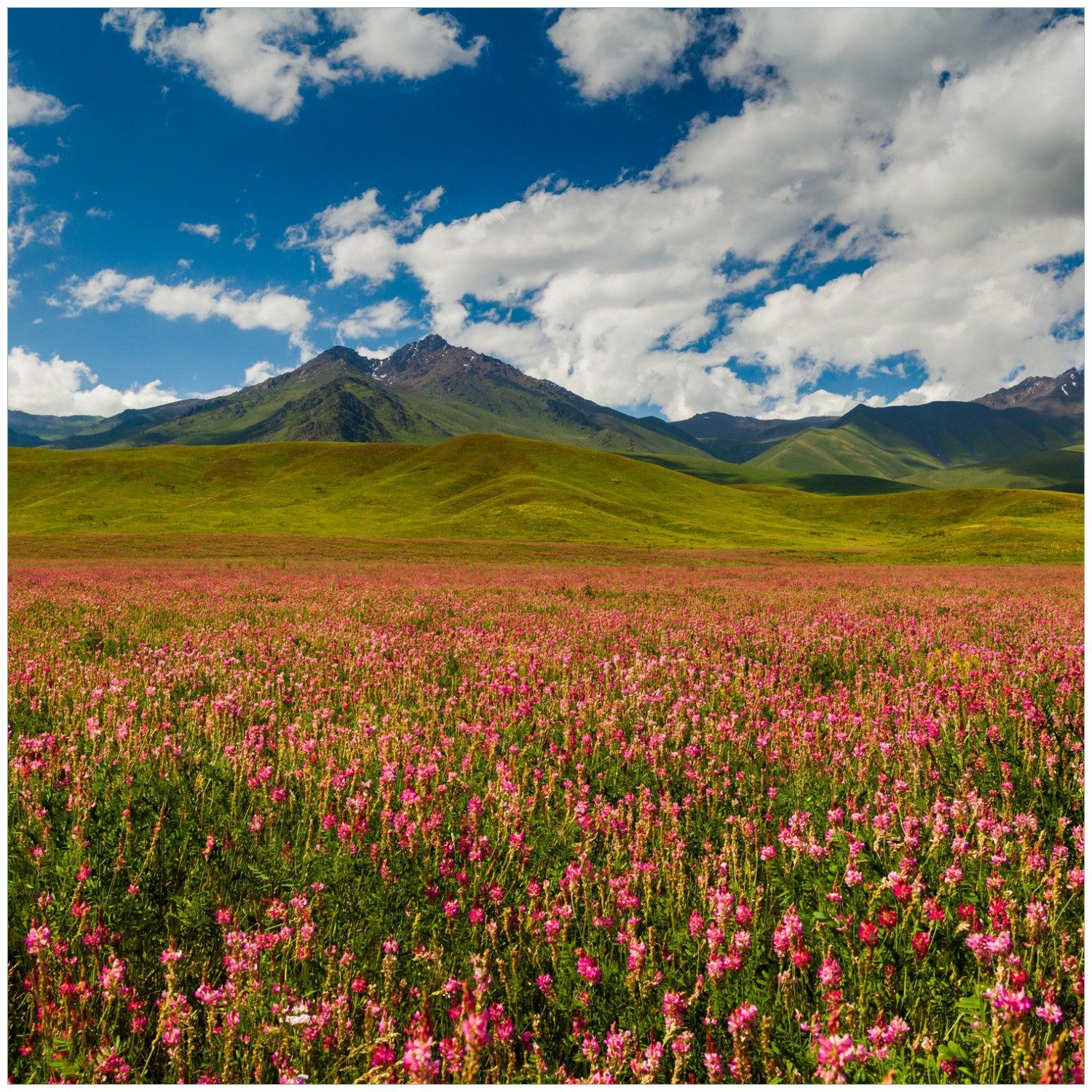 Wallario Möbelfolie Berglandschaft im Sommer
