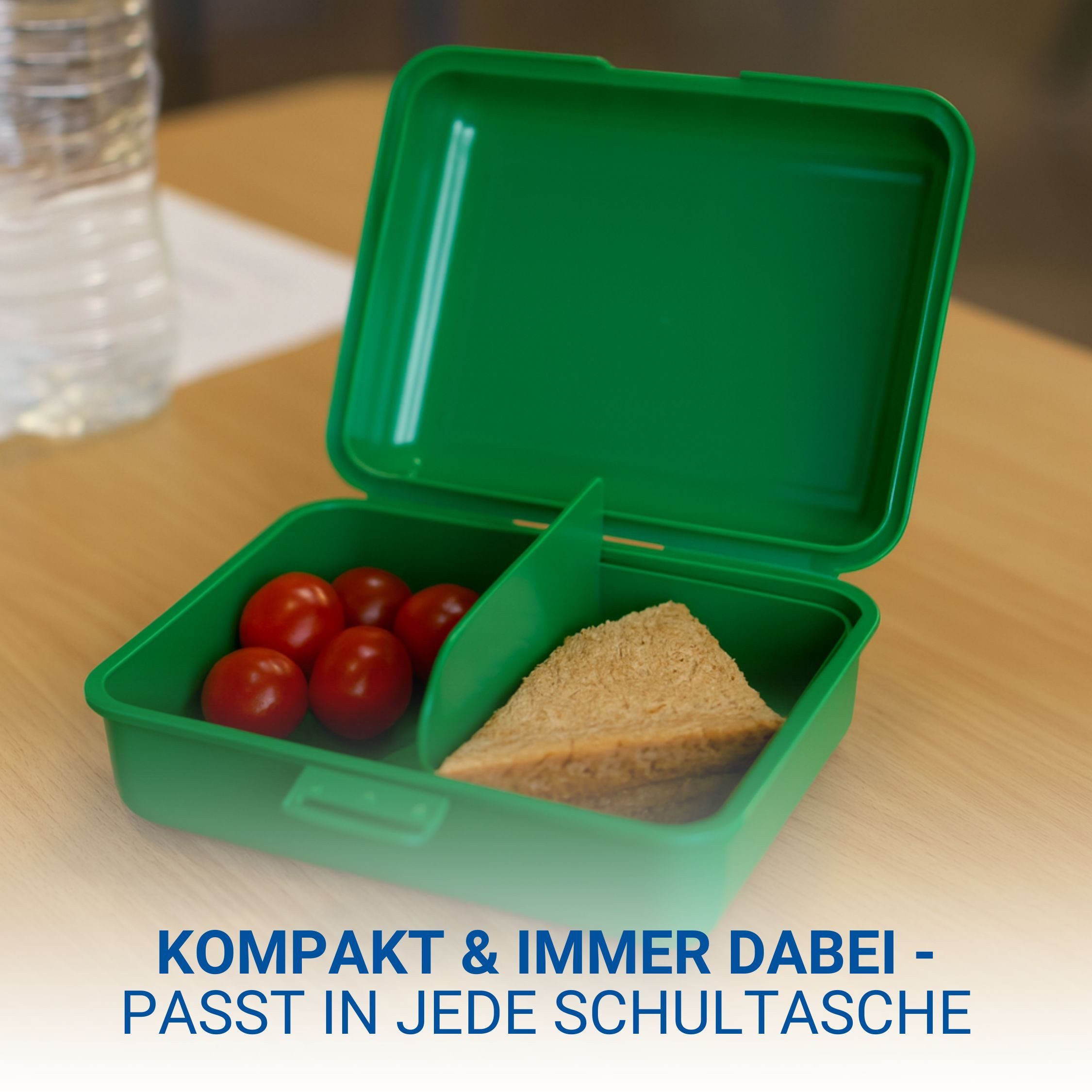 elasto Lunchbox Dino Motiv Brotdose mit Trennschale - Kinder Vesperbox für die Schule – Bild 5 von 5