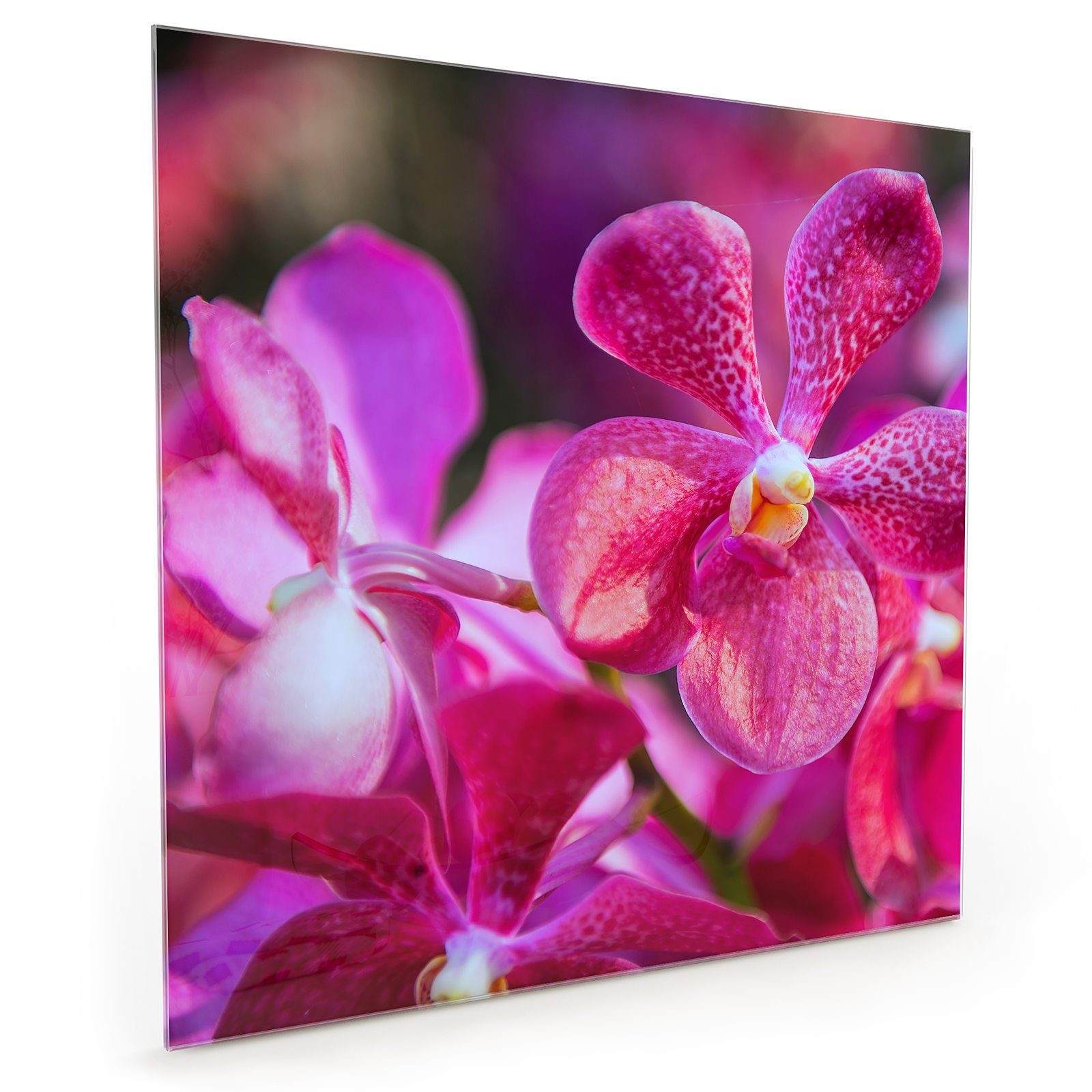 Primedeco Küchenrückwand Spritzschutz Glas Pinke Orchideen