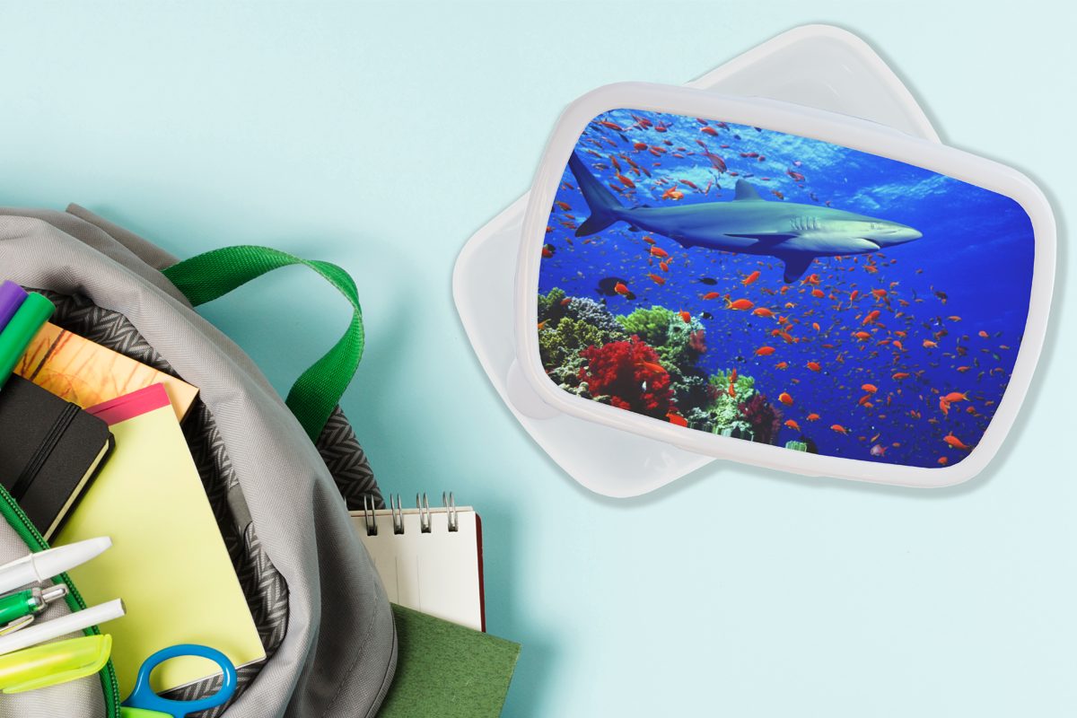 MuchoWow Lunchbox Brotbox Hai für (2-tlg), Erwachsene, Kinder Jungs für weiß Mädchen Korallenriff, und Brotdose, am und Kunststoff