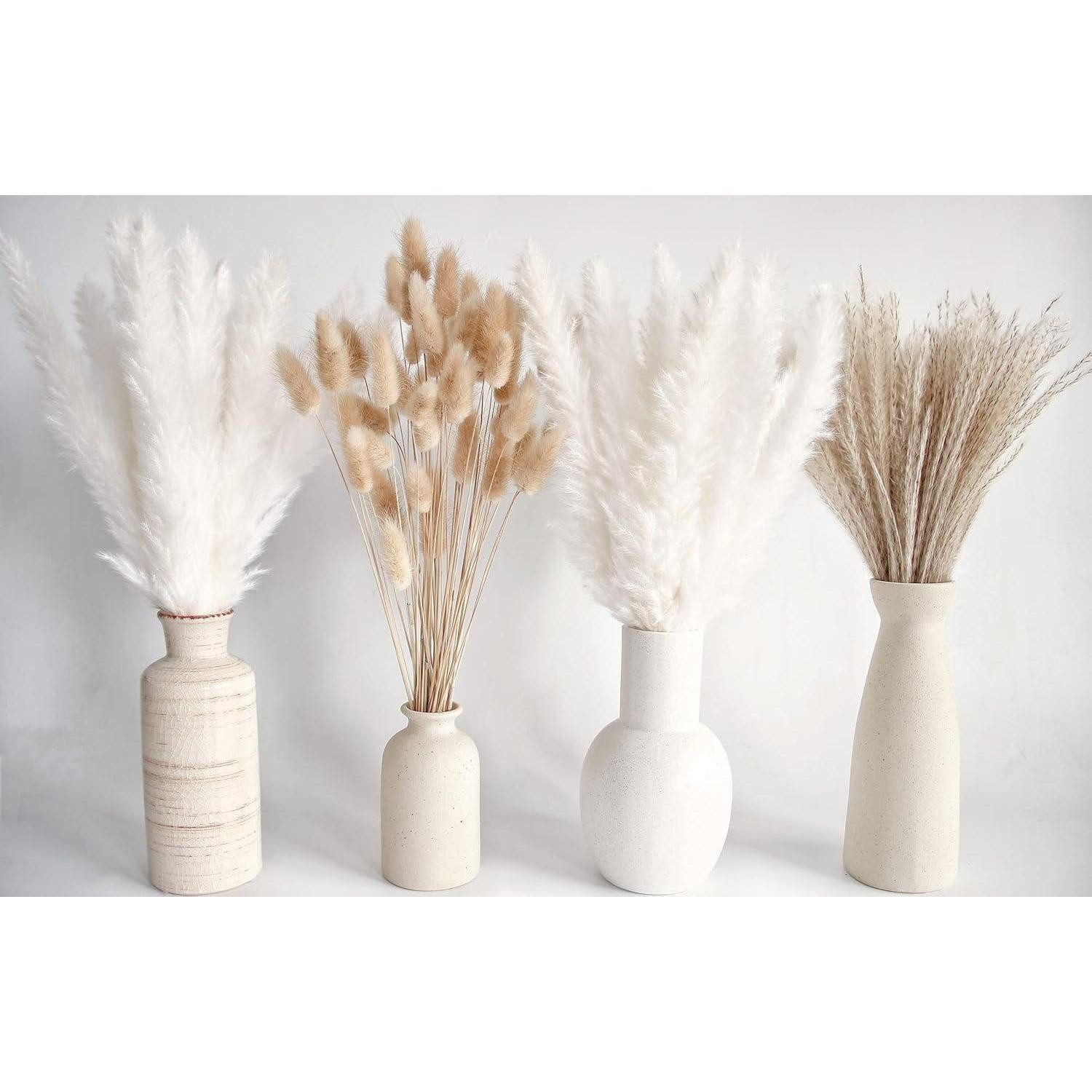 Trockenblume 30 PCS Natürliches weißes Pampasgras Dekoration Hochzeit Boho, LuxusKollektion