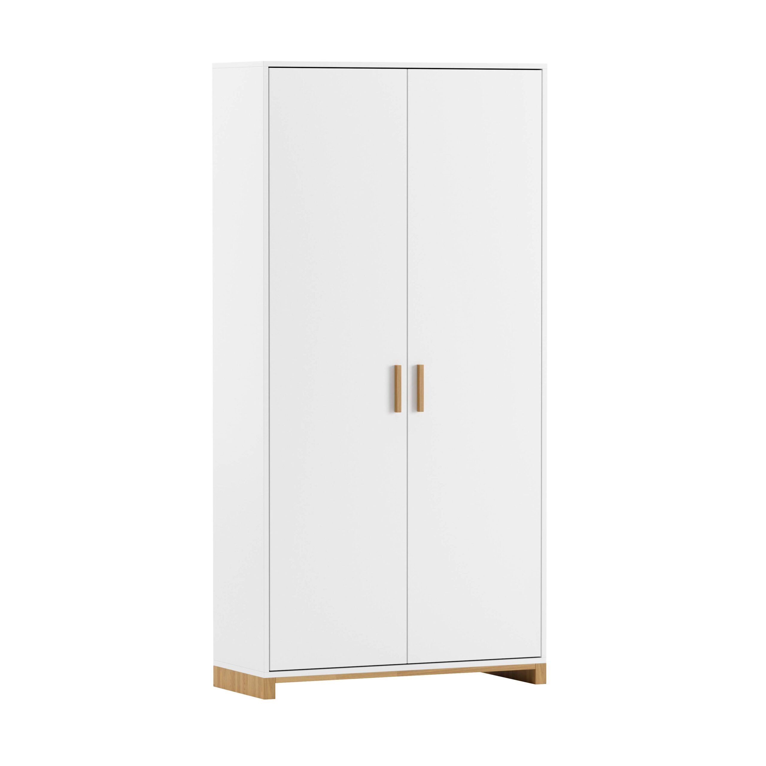 Deerhorn Aktenschrank Hoher, funktionaler Schrank mit Türen und Regalböden, 100 cm Breite: 100 cm, Höhe: 200 cm, Tiefe: 40 cm