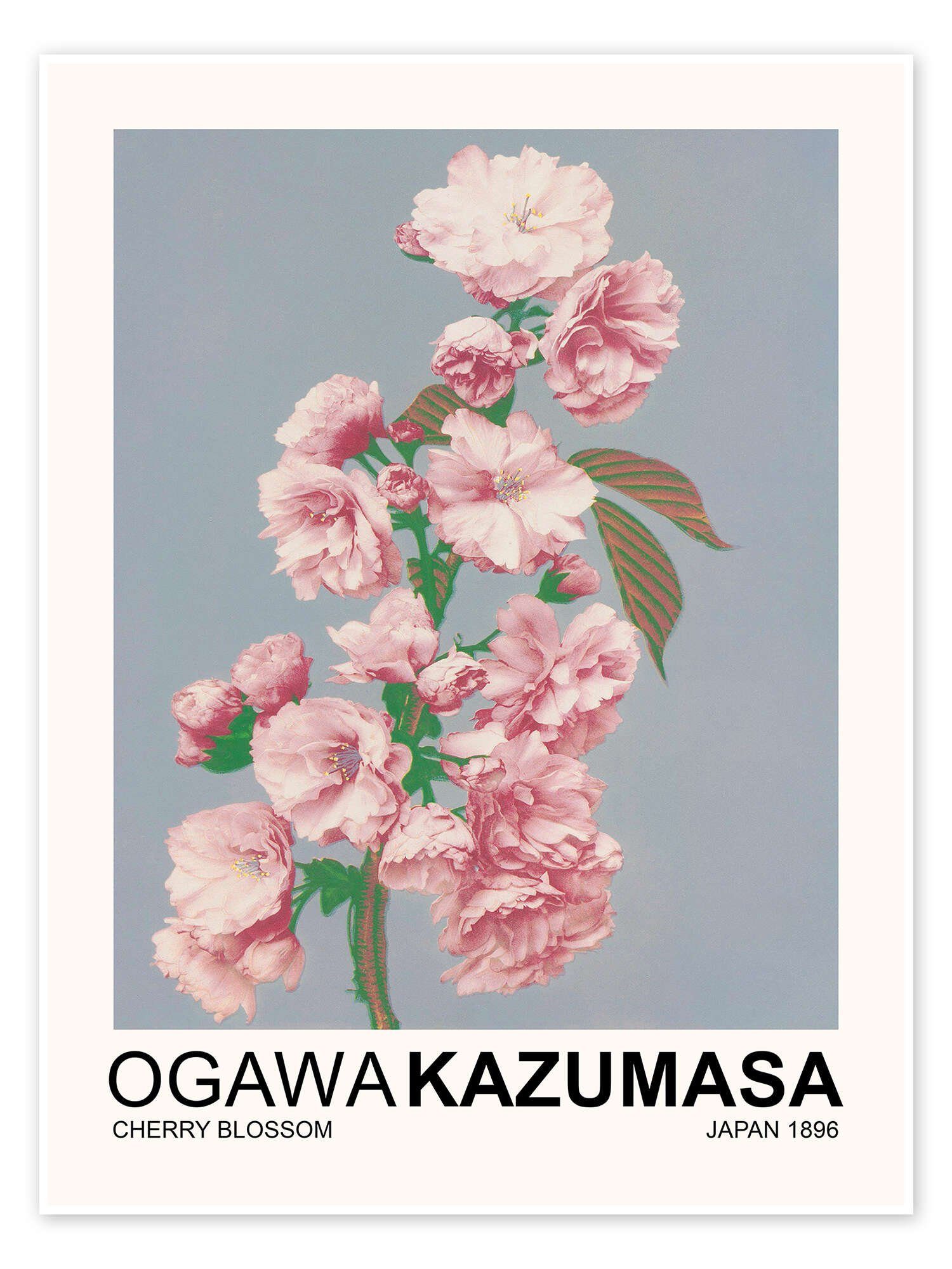 Posterlounge Poster Ogawa Kazumasa, Cherry Blossom, Schlafzimmer Japandi Malerei