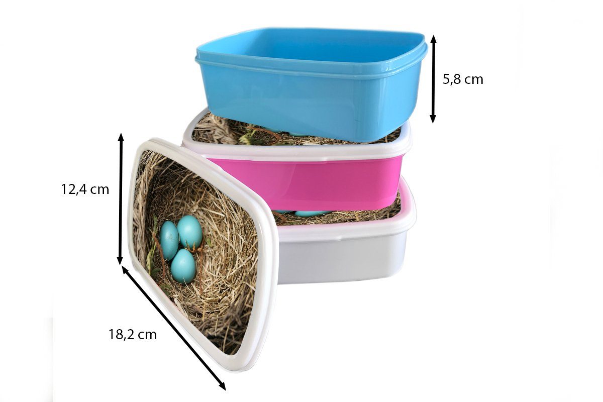 Blau - Brotbox Eier für Rotkehlchen, Mädchen, (2-tlg), Kunststoff - Kinder, Lunchbox Erwachsene, Brotdose Snackbox, rosa Kunststoff, MuchoWow