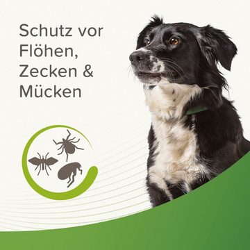 beaphar Zeckenschutzmittel Zecken- und Flohschutz Halsband für Hunde 65 cm
