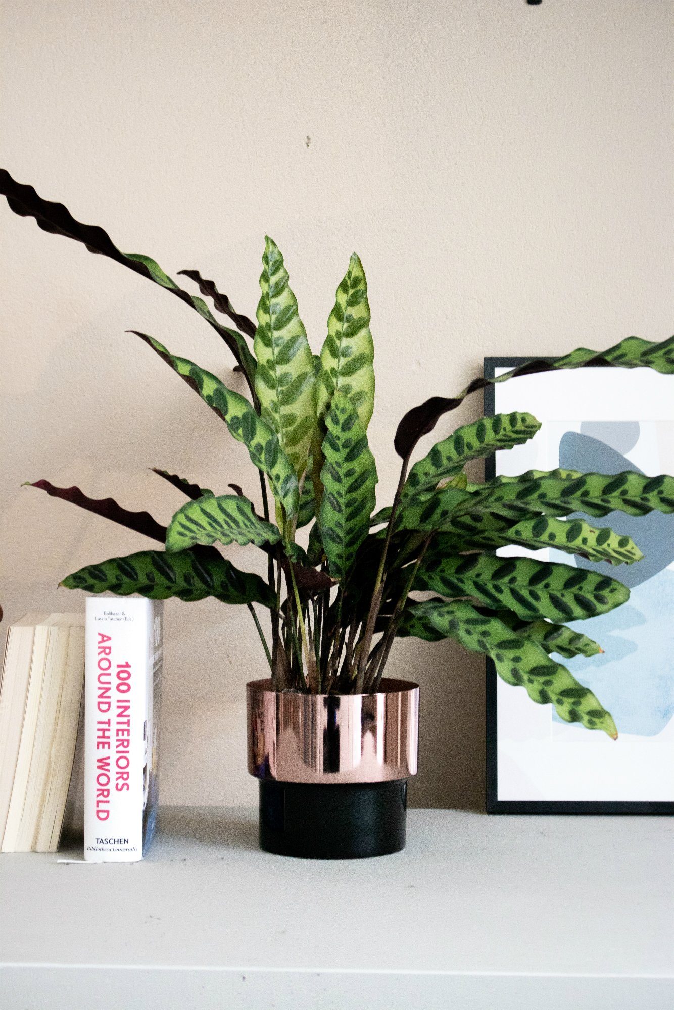 LaLe Living Blumentopf Bakir aus Kupfer mit Schwarz Ø13,5x13cm, aus Eisen mit Emaille glänzend