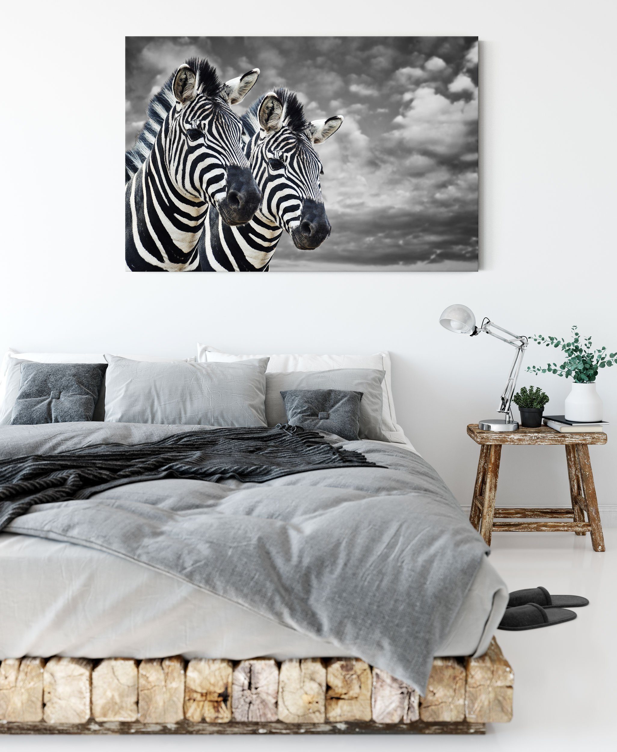 zwei Leinwandbild Leinwandbild bespannt, St), Zebras Zackenaufhänger fertig (1 Zebras, Pixxprint zwei inkl.