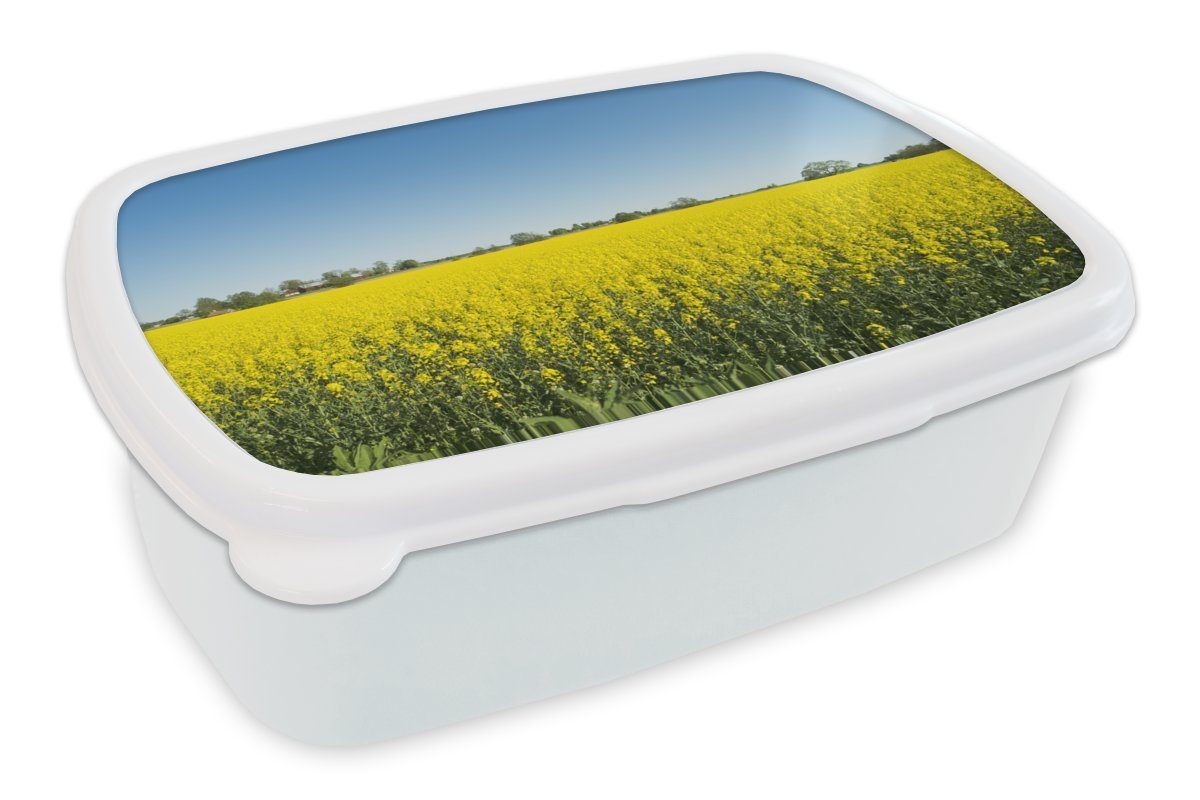 MuchoWow Lunchbox Gelbes Feld Rapssaat, Kunststoff, (2-tlg), Brotbox für Kinder und Erwachsene, Brotdose, für Jungs und Mädchen weiß