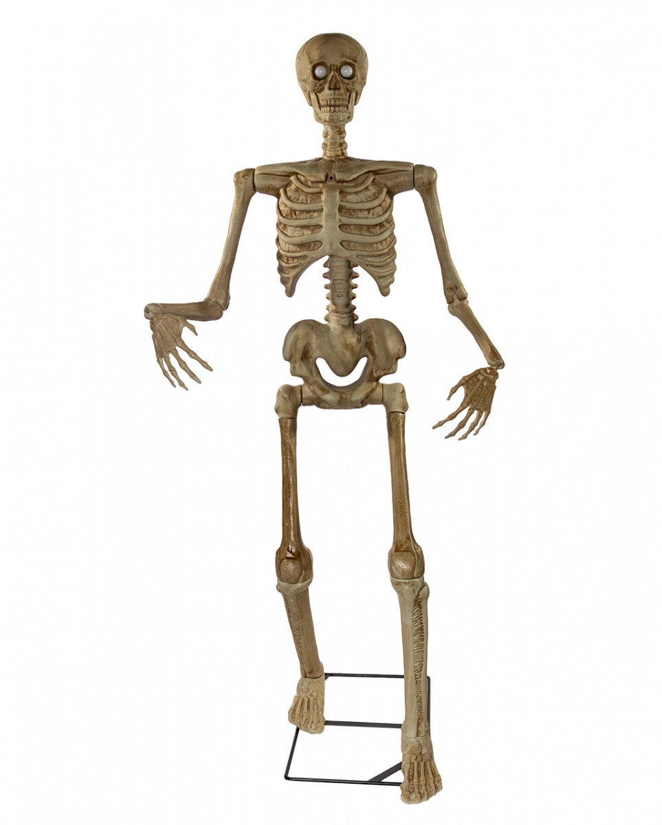 Dekoobjekt Sprechendes Skelett Animatronic für Halloween 150c