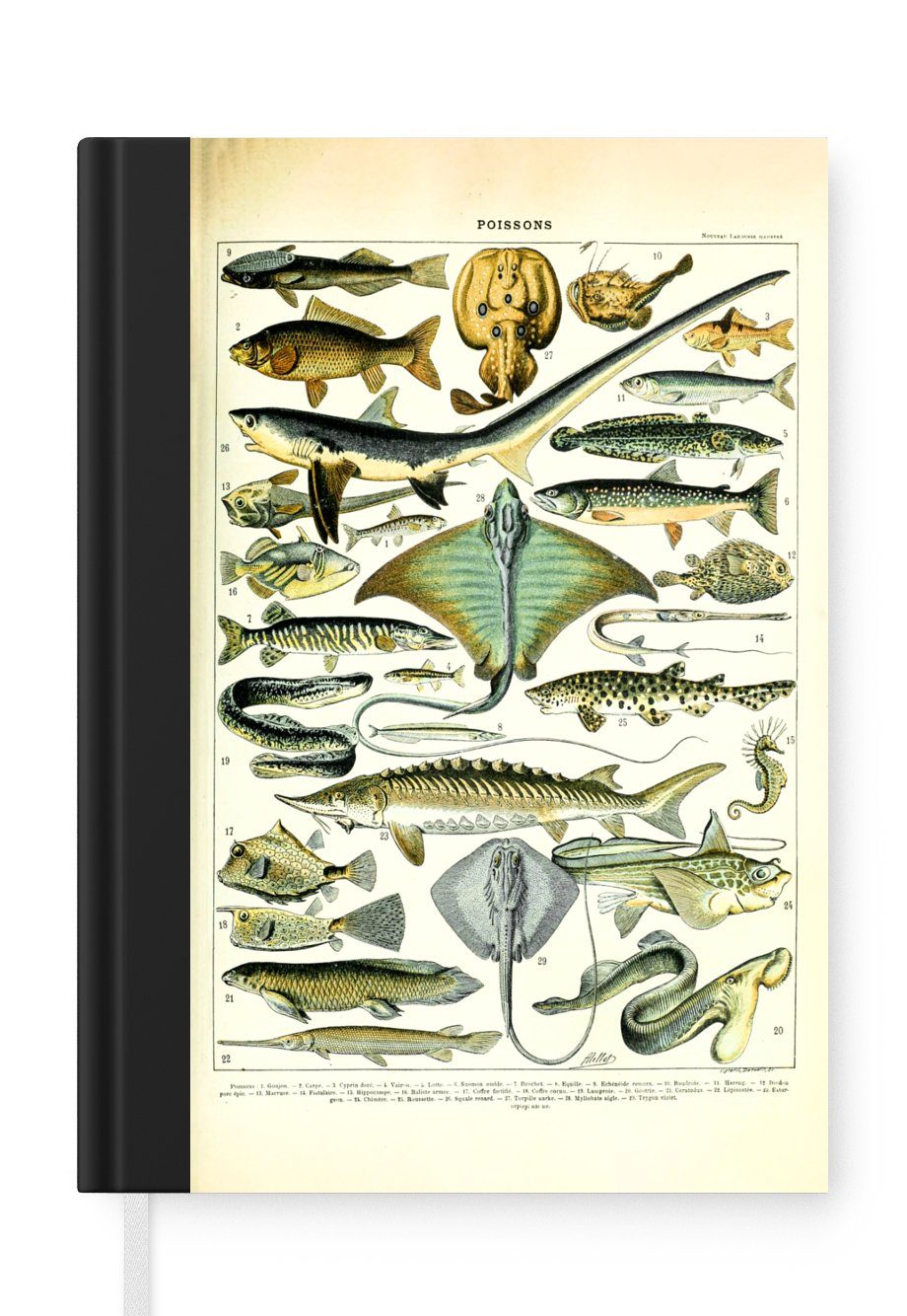 A5, Journal, - 98 Notizbuch Merkzettel, Haushaltsbuch MuchoWow Meerestiere Tagebuch, Notizheft, - Tiere, Fische Seiten,
