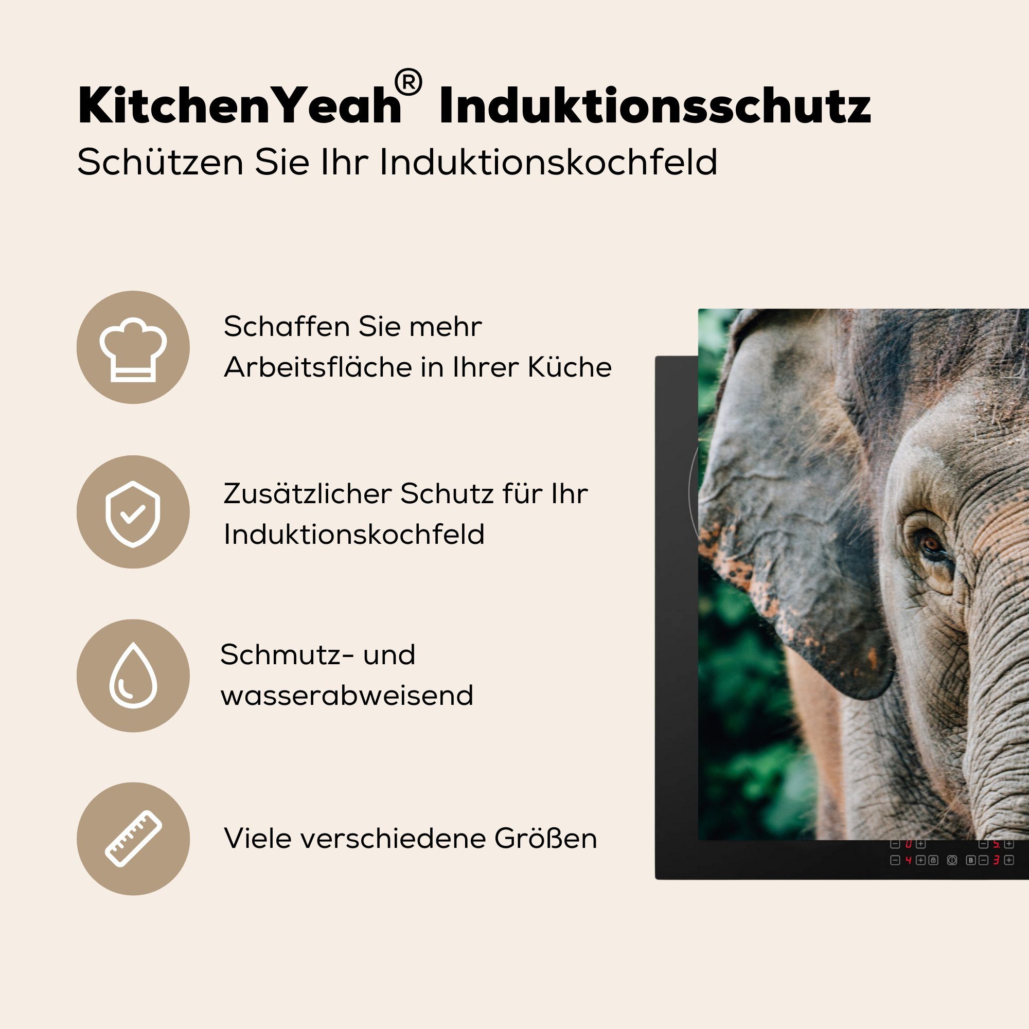 Induktionskochfeld Schutz Nahaufnahme (1 MuchoWow Vinyl, 81x52 eines küche, Ceranfeldabdeckung für cm, Herdblende-/Abdeckplatte tlg), die Elefanten,