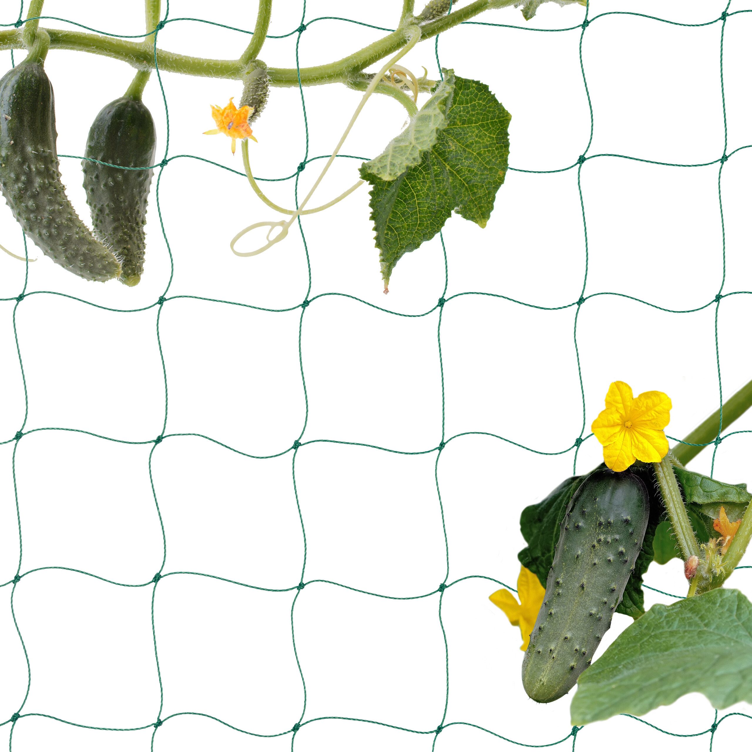 relaxdays Rankhilfe Ranknetz 200 x 750 cm, 1 St.