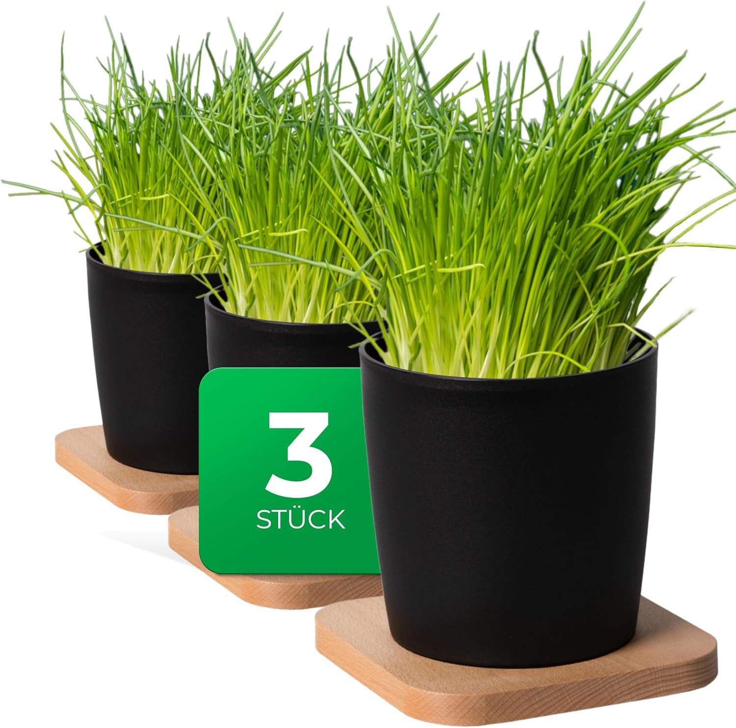 Novaliv Kräutertopf 30925-3x (3 St), Novaliv Stilvolle 3er Set Kräutertopf mit Holzunterlage für Jede Fenst