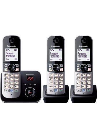 PANASONIC »TG6823G Trio« беспроводны...