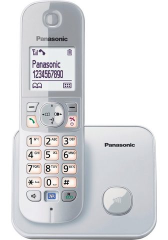 PANASONIC »KX-TG6811GS« беспроводный...