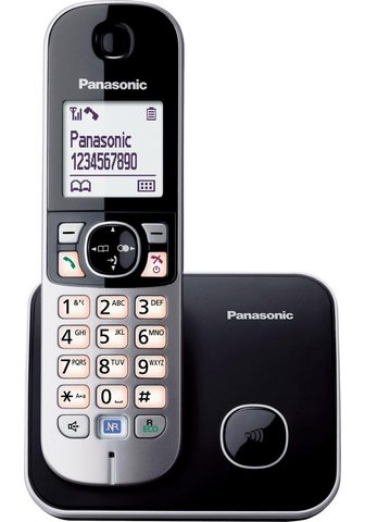 PANASONIC »KX-TG6811GS« беспроводный...