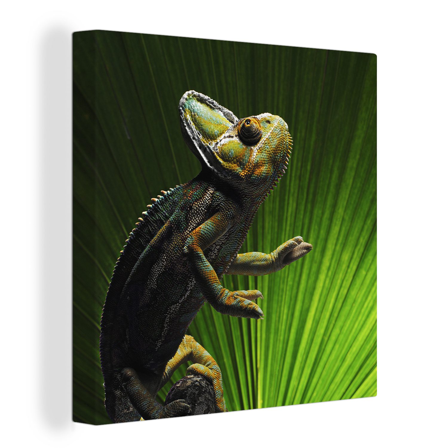 OneMillionCanvasses® Leinwandbild Chamäleon mit einem grünen Blatt, (1 St), Leinwand Bilder für Wohnzimmer Schlafzimmer