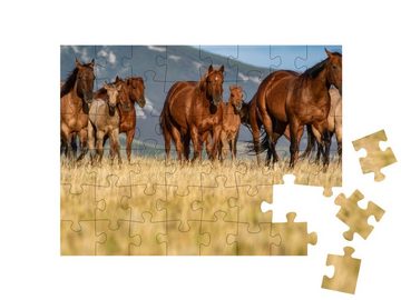 puzzleYOU Puzzle Quarter Horse-Herde auf einer Grasebene, Montana, 48 Puzzleteile, puzzleYOU-Kollektionen Pferde, Westernpferde