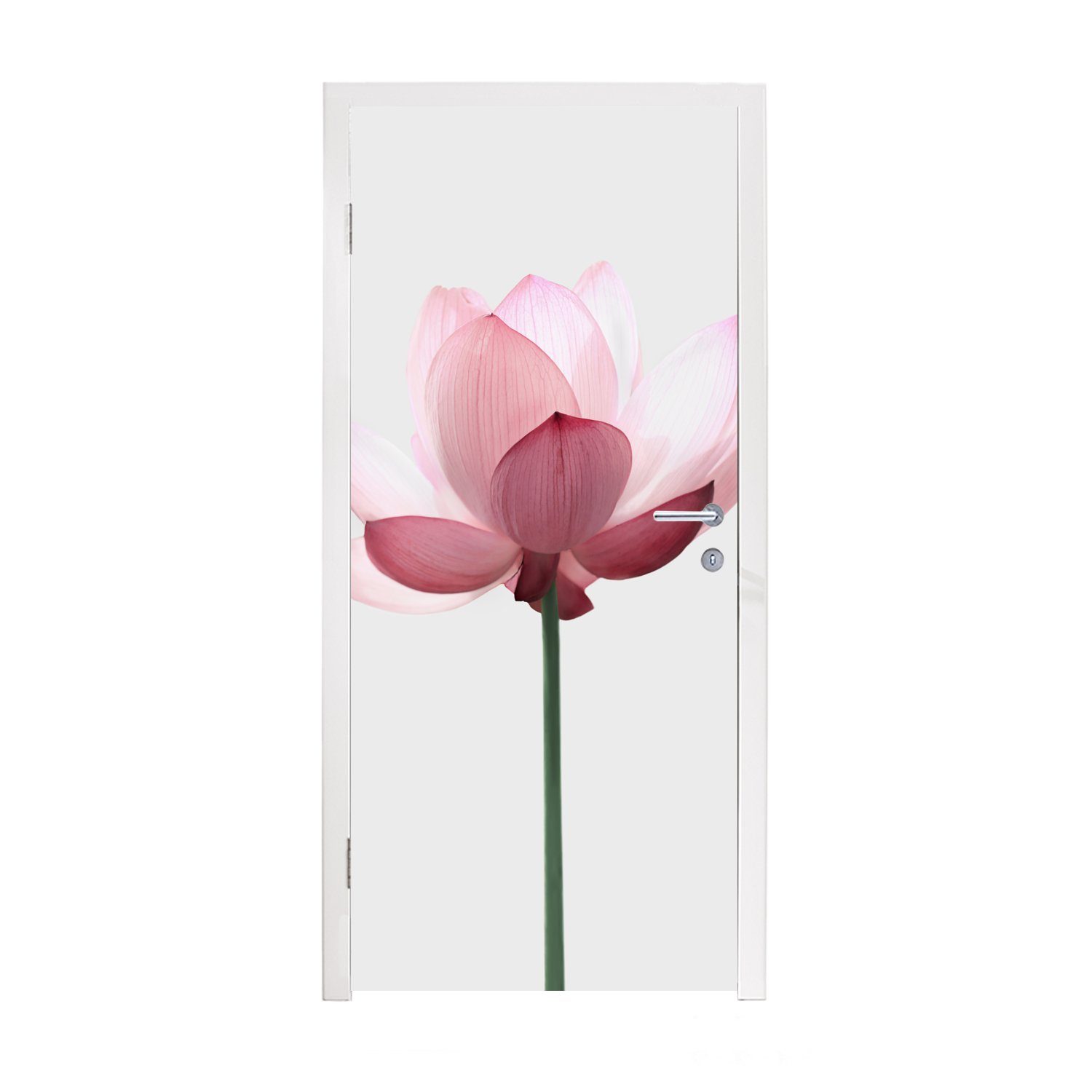 MuchoWow Türtapete Blumen - Rosa - Natur - Botanisch, Matt, bedruckt, (1 St), Fototapete für Tür, Türaufkleber, 75x205 cm