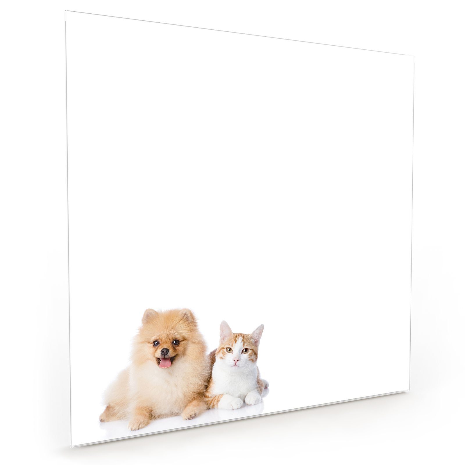 Primedeco Spritzschutz Hund und Katze Glas kleiner Küchenrückwand