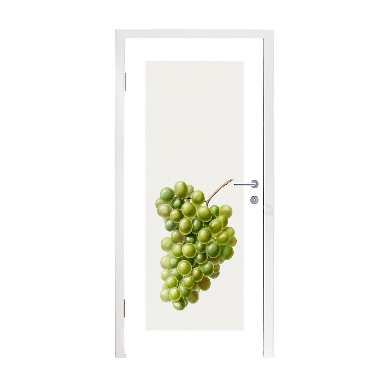 Türtapete - Matt, Lebensmittel, (1 Tür, bedruckt, cm MuchoWow Türaufkleber, St), Weintrauben 75x205 Fototapete Obst für -