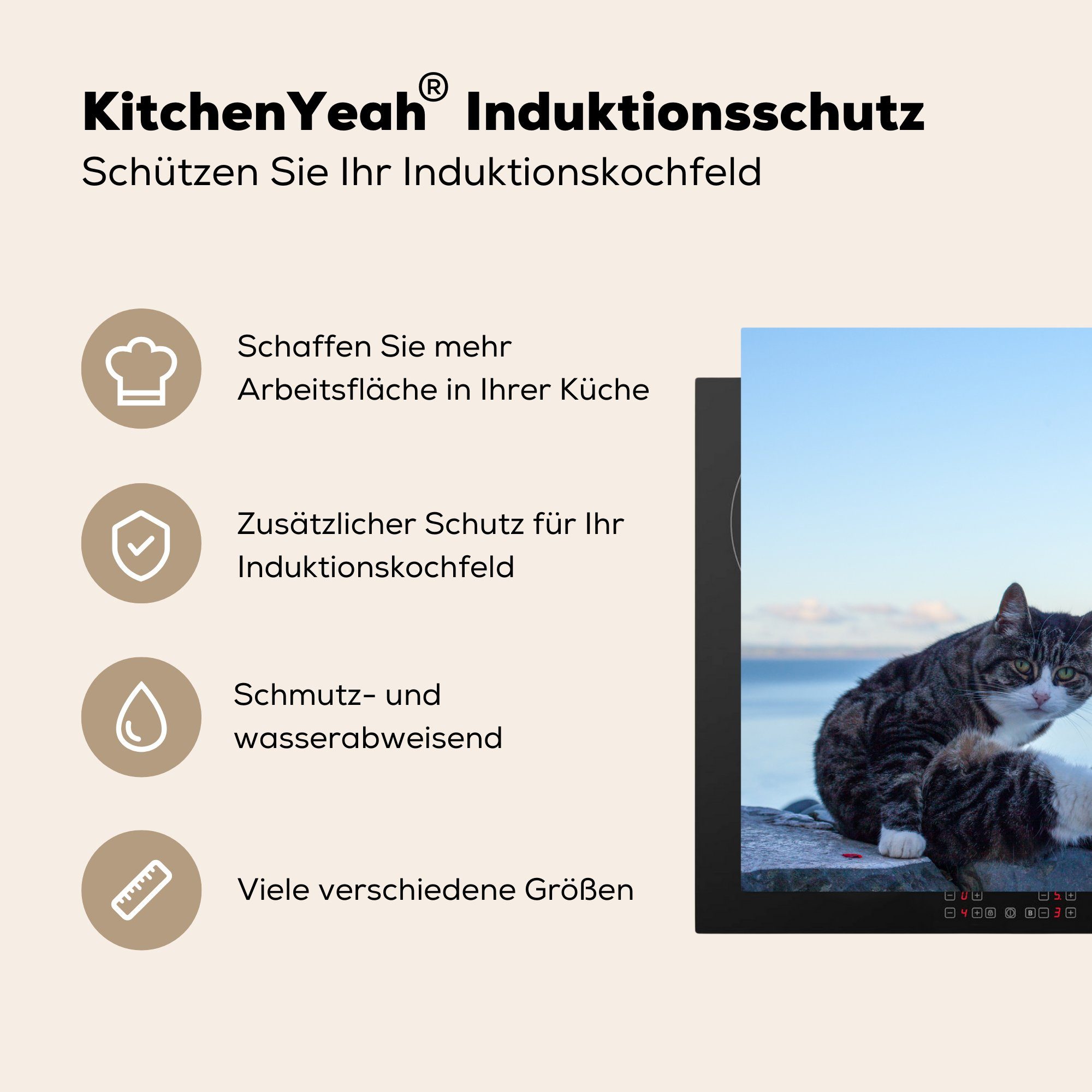 MuchoWow Herdblende-/Abdeckplatte Reinigung Katze, Schutz Induktionskochfeld 81x52 (1 tlg), küche, cm, Vinyl, für die Ceranfeldabdeckung