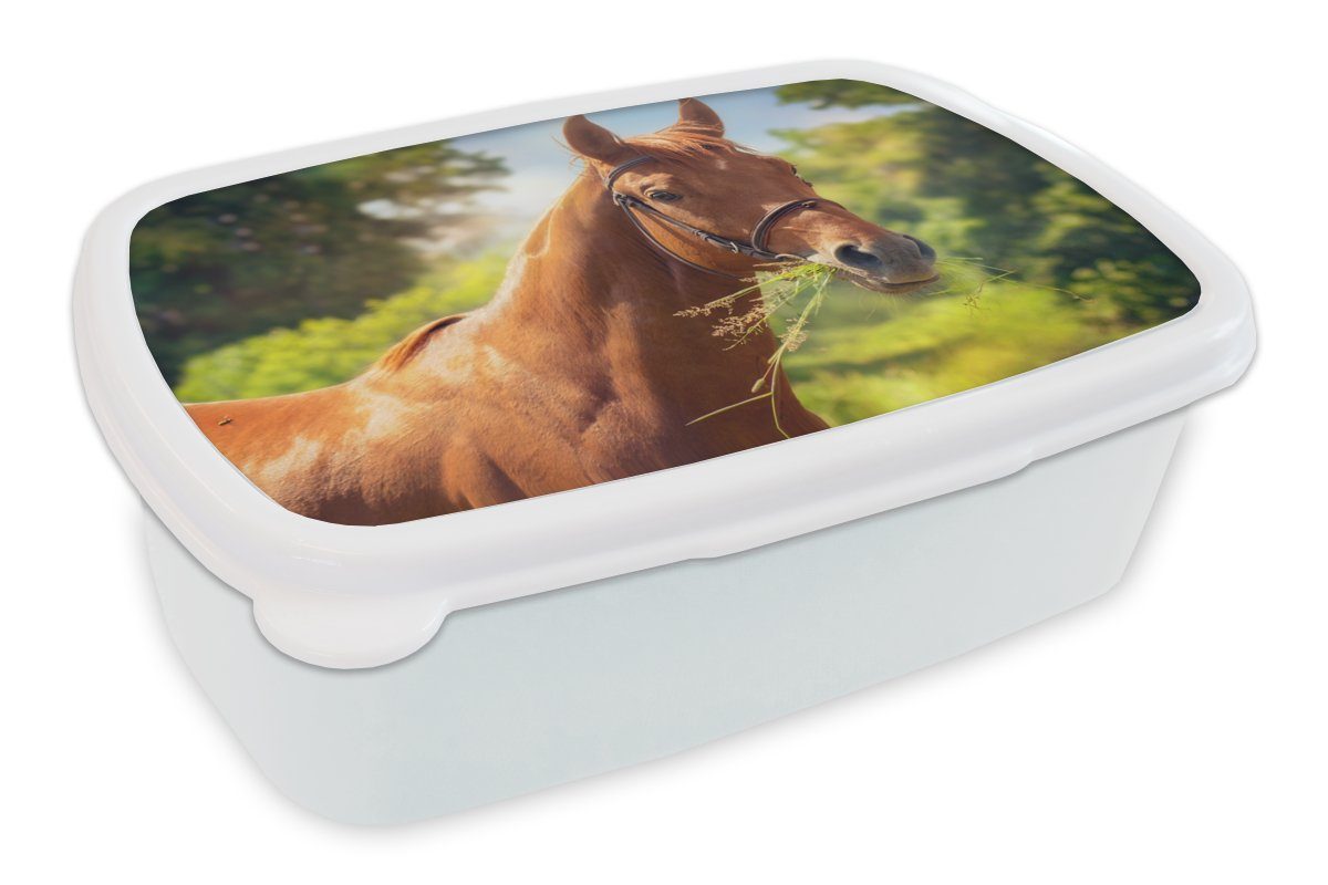 MuchoWow Lunchbox Pferd - Licht - Porträt, Kunststoff, (2-tlg), Brotbox für Kinder und Erwachsene, Brotdose, für Jungs und Mädchen weiß