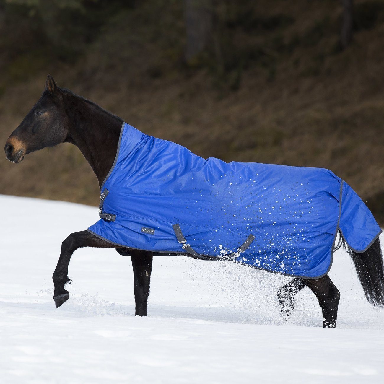 Dear Pferdedecke royal Winterdecke BUSSE Tierdecke 200 Rain