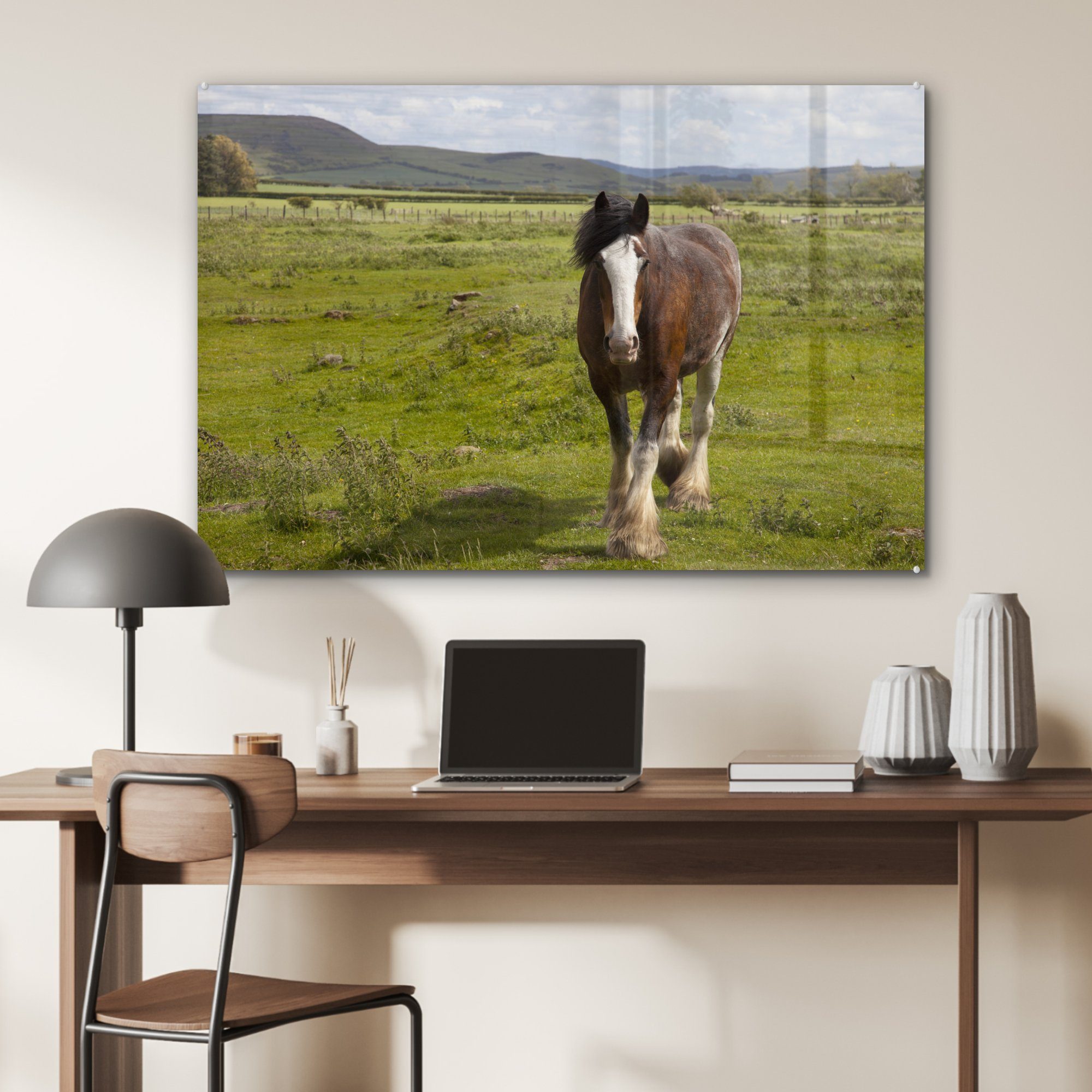 MuchoWow (1 Pferde, - Acrylglasbild Grasland Clydesdale Acrylglasbilder St), - Wohnzimmer & Schlafzimmer