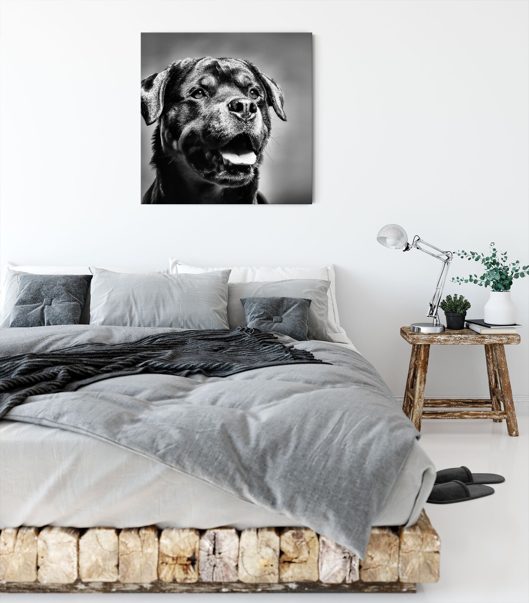 Leinwandbild St), Treuer Rottweiler Rottweiler, inkl. Pixxprint Treuer bespannt, fertig Leinwandbild Zackenaufhänger (1