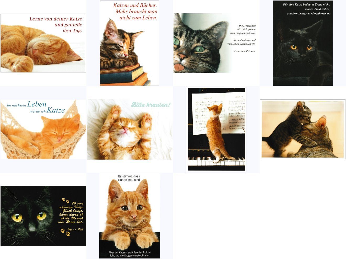 Postkarte n-Set "Katzen"