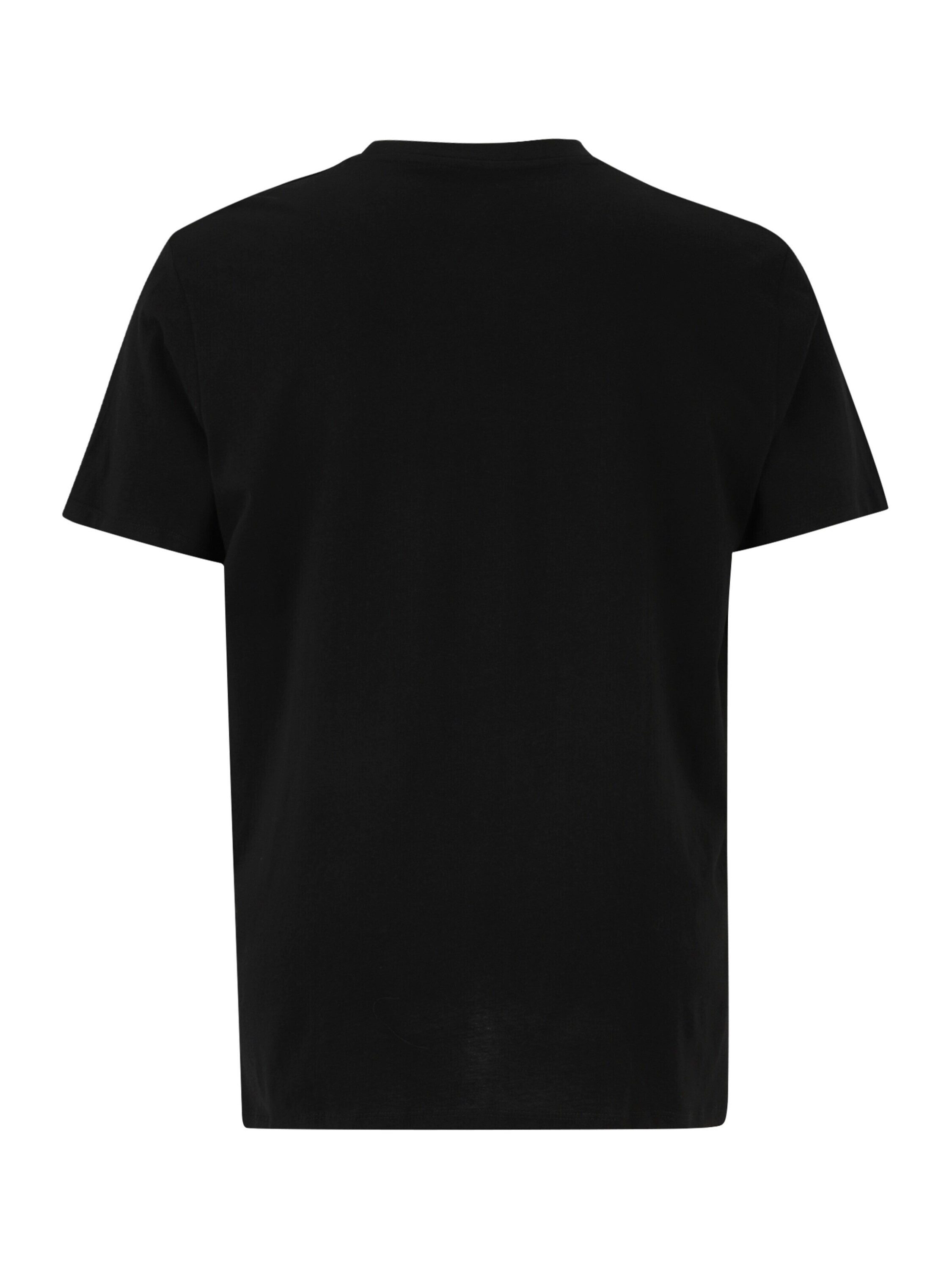 Jack & Jones PlusSize T-Shirt JJBradley (1-tlg)