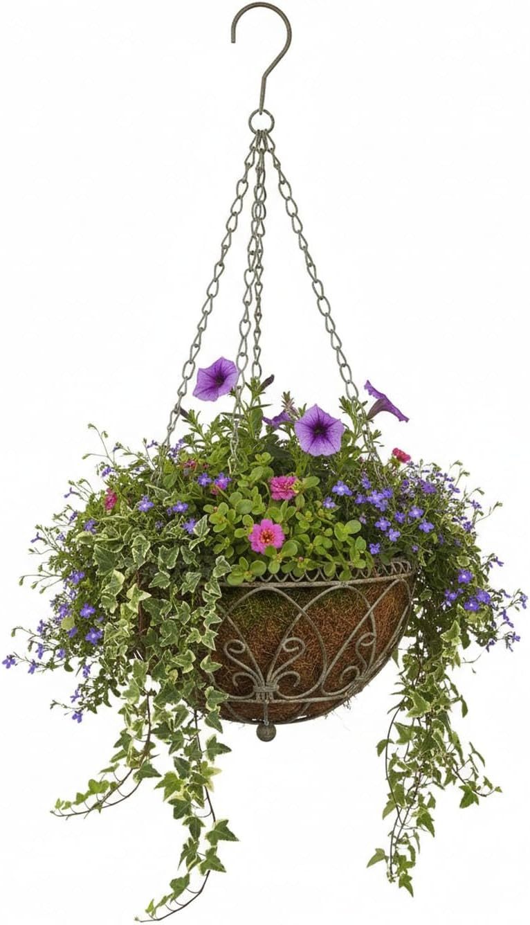 LB H&F Lilienburg Blumenampel Blumenampel Pflanzampel Hanging Basket Pflanz günstig online kaufen