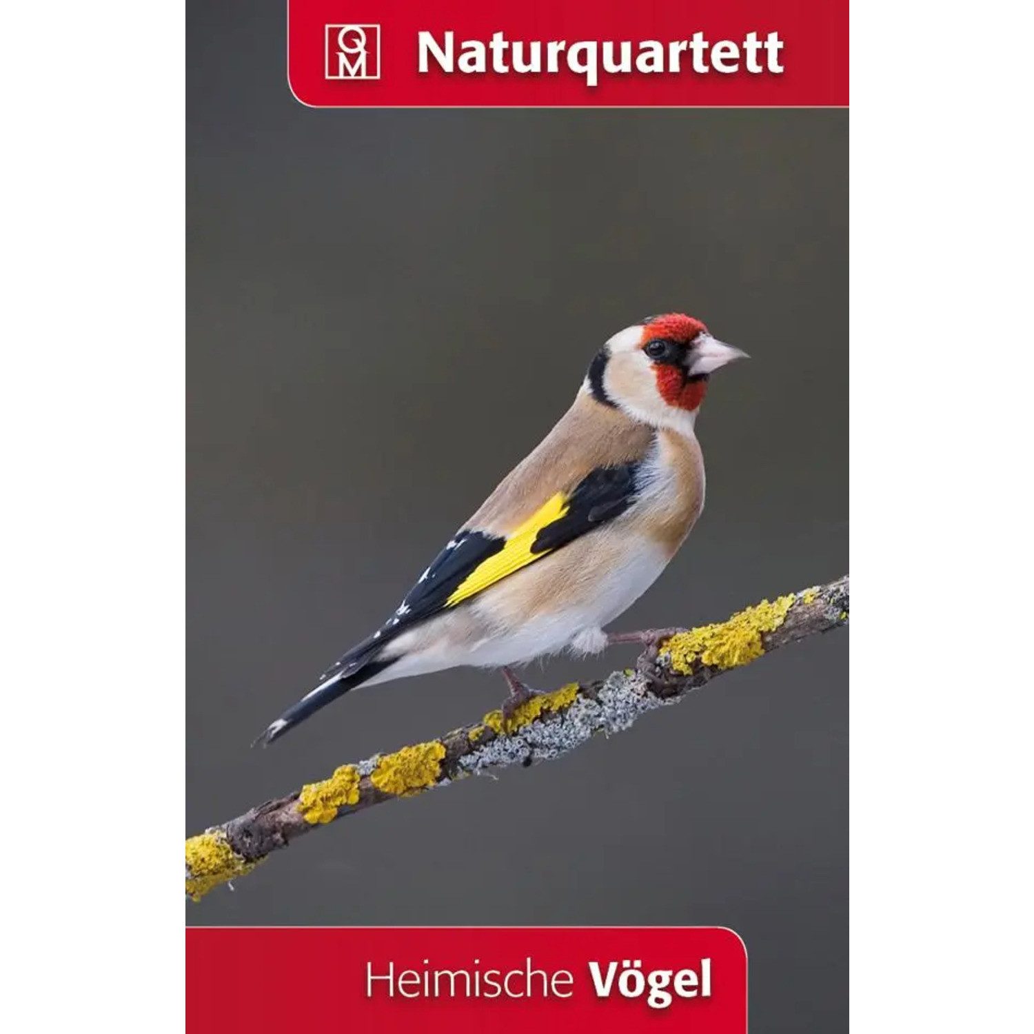 Meyer & Meyer Verlag Spiel Heimische Vögel Naturquartett