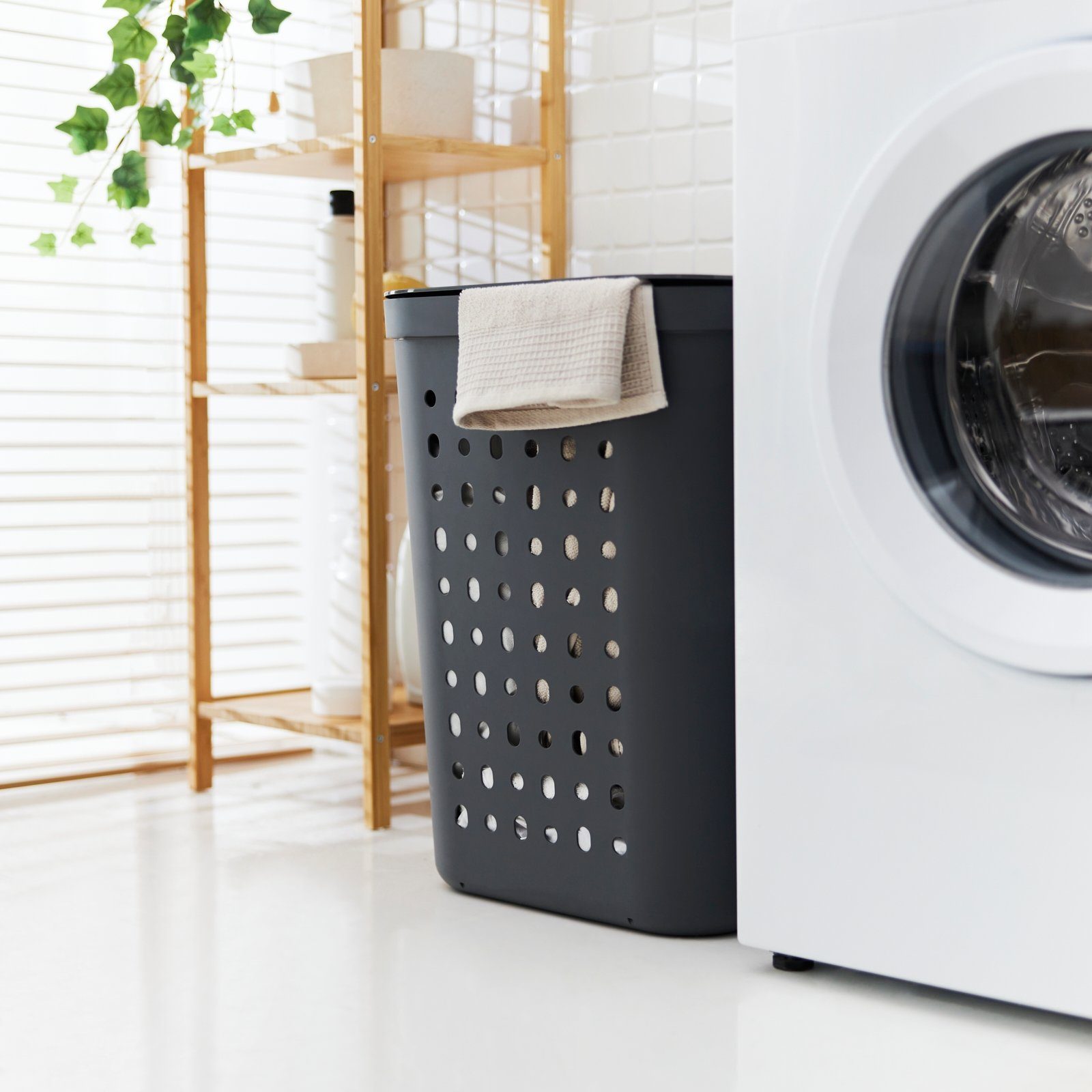 ROTHO Wäschekorb günstig online kaufen