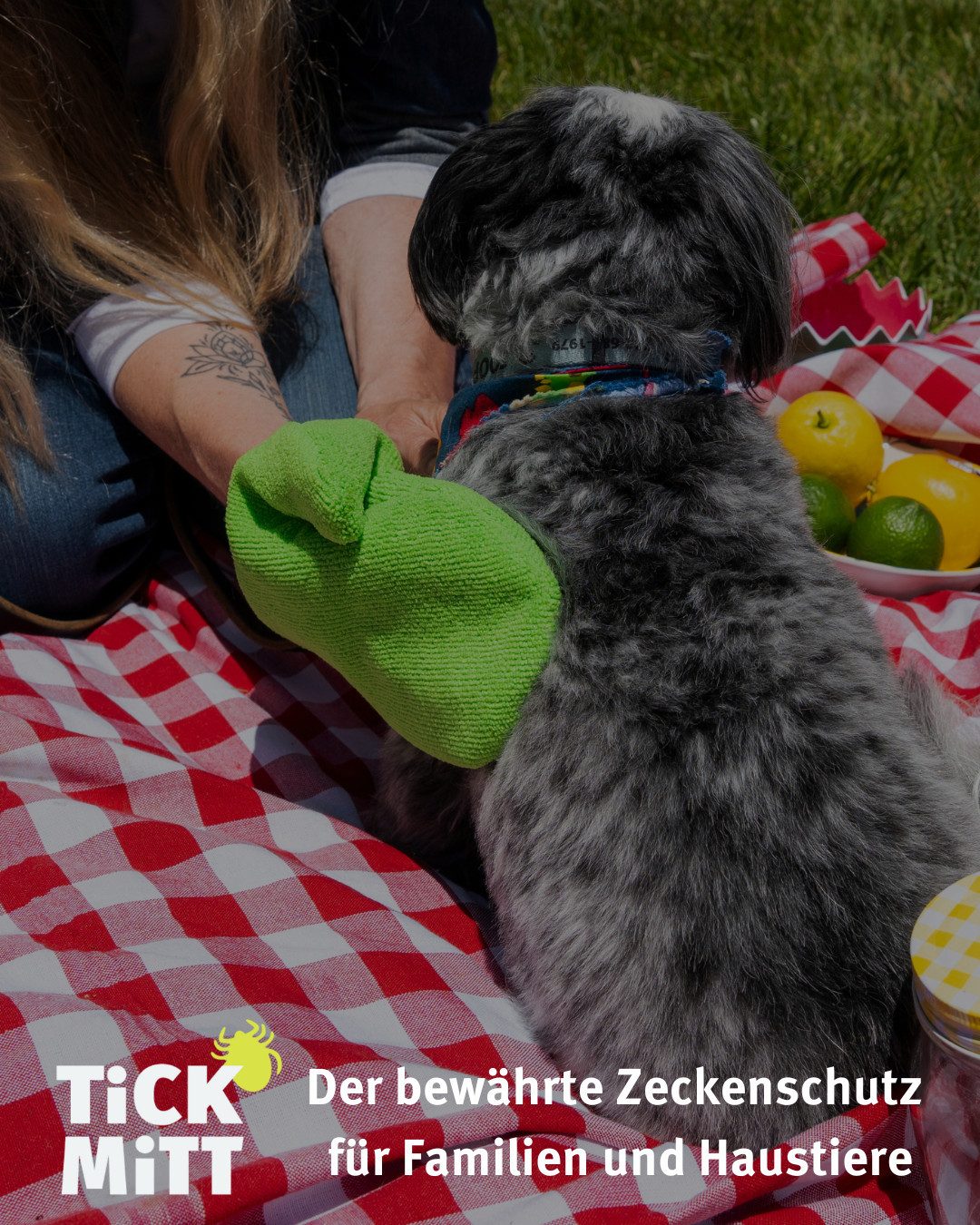 TiCK MiTT Zeckenschutzmittel Zeckenhandschuh - Alternative zum Zeckenhalsband für Hunde / Katzen, Wiederverwendb. Zecken-Handschuh für Mensch & Tier